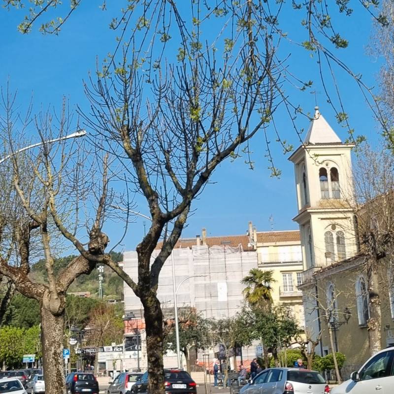 Fotosegnalazione di San marco in lamis