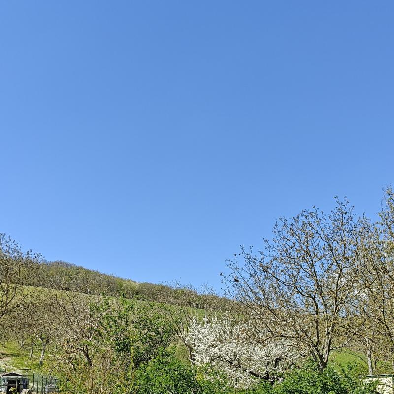 Fotosegnalazione di Fabriano