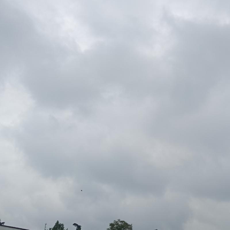 Fotosegnalazione di Vigolzone