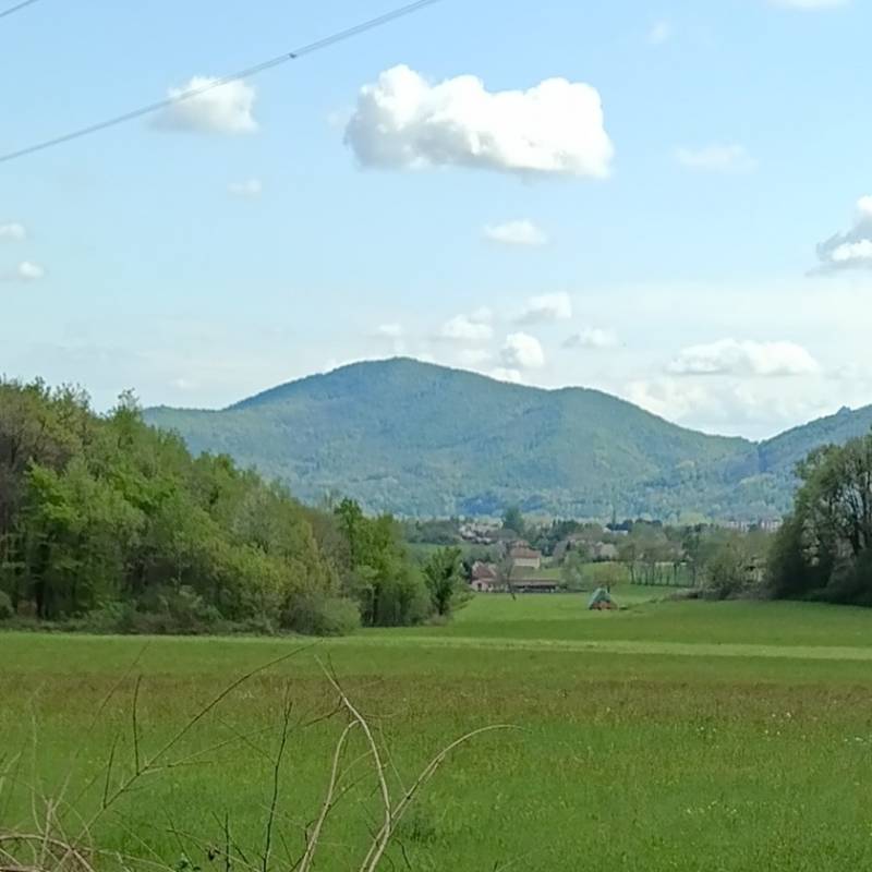 Fotosegnalazione di Giaveno