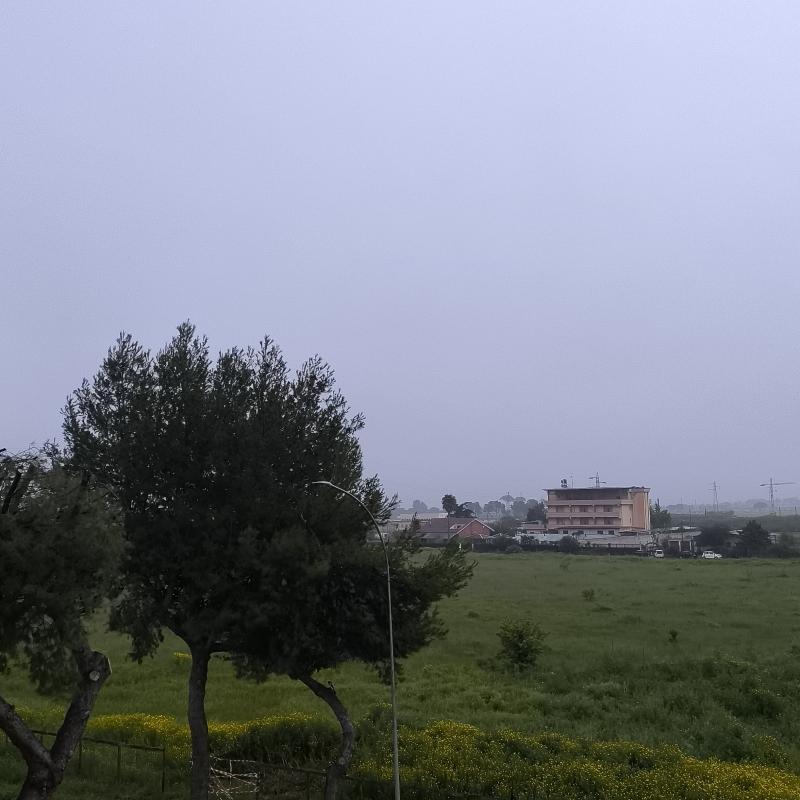 Fotosegnalazione di Foggia centro urbano