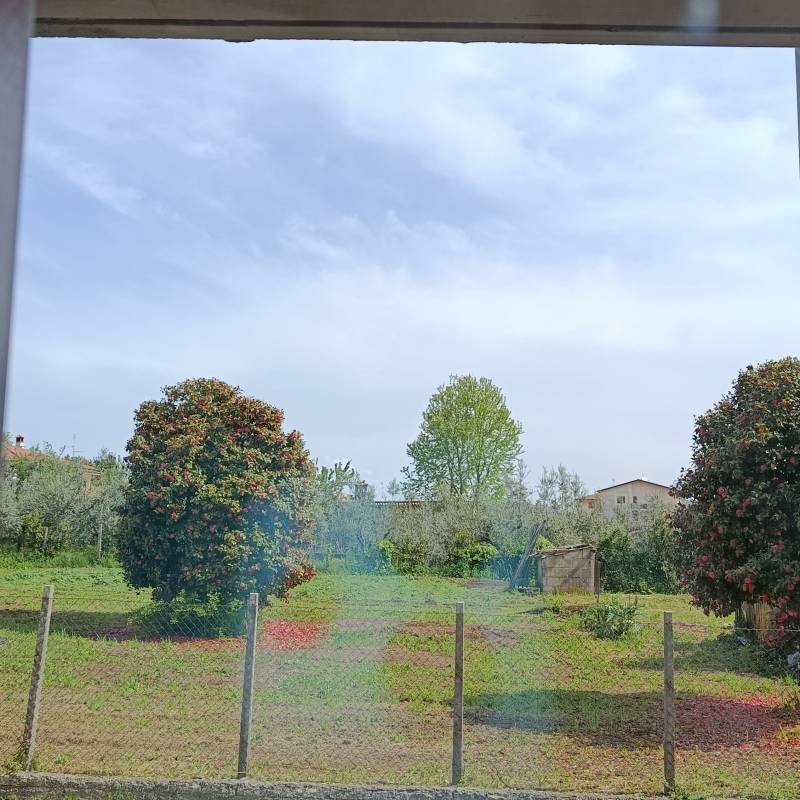 Fotosegnalazione di Lariano