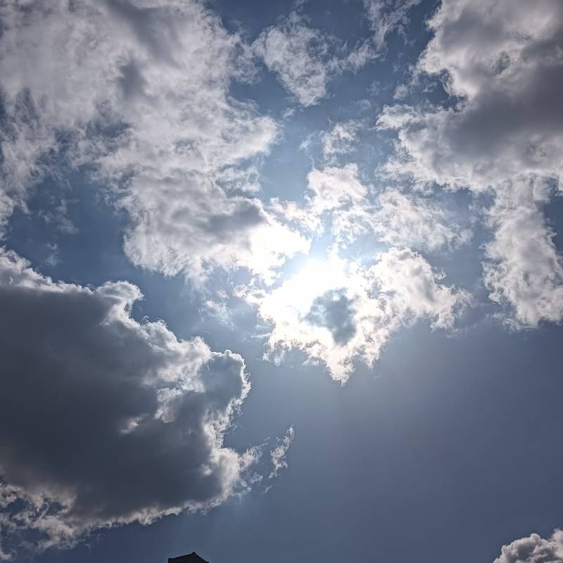 Fotosegnalazione di Solbiate olona