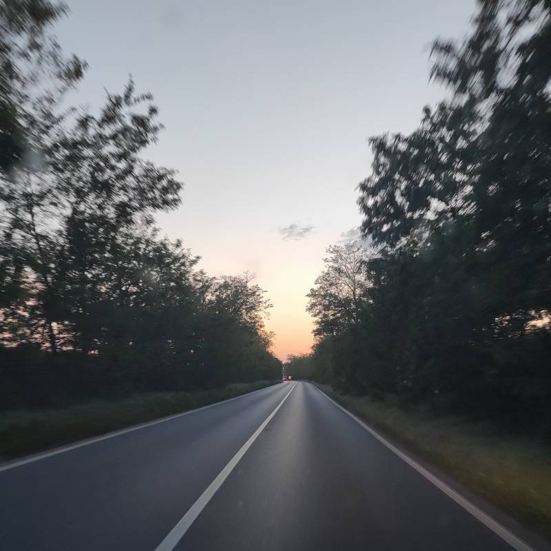 Fotosegnalazione di Pavia est
