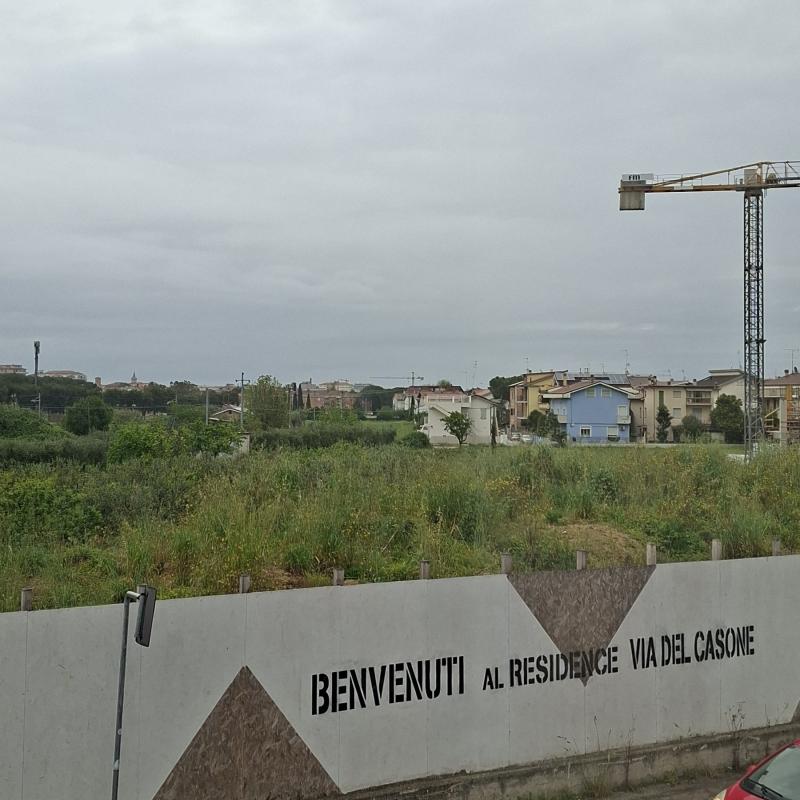 Fotosegnalazione di Civitanova marche
