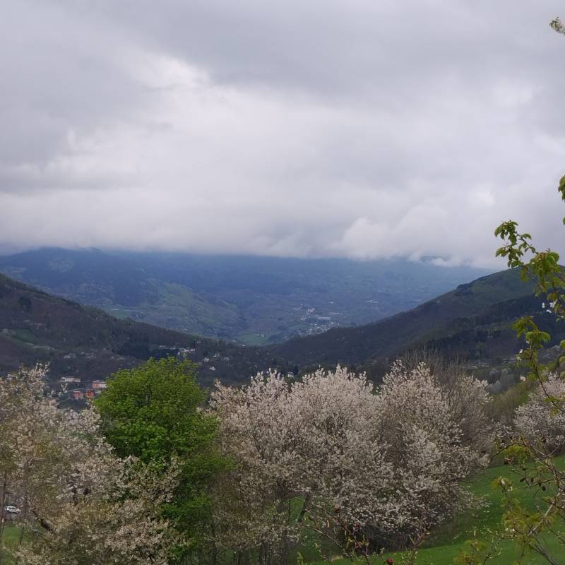Fotosegnalazione di Fiumalbo