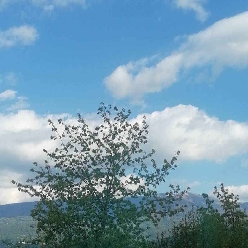 Fotosegnalazione di Belluno periferia ovest