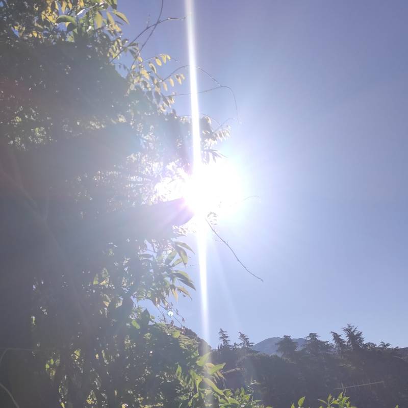 Fotosegnalazione di Olevano romano