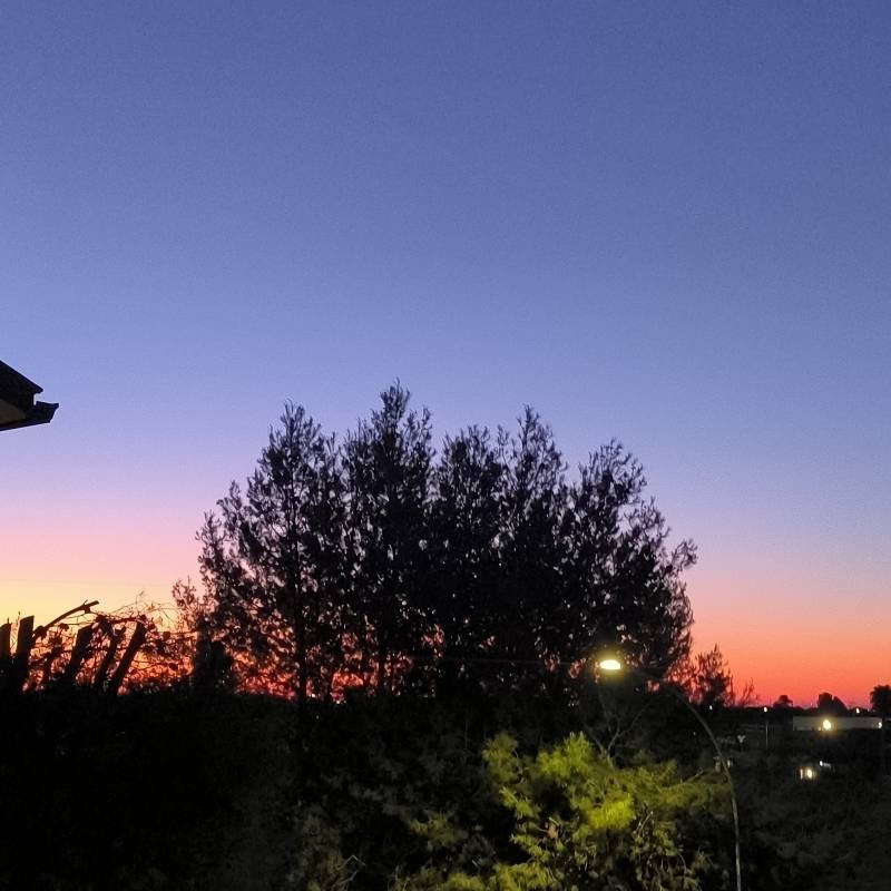 Fotosegnalazione di Foggia centro urbano
