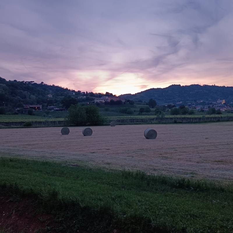 Fotosegnalazione di Montebello vicentino