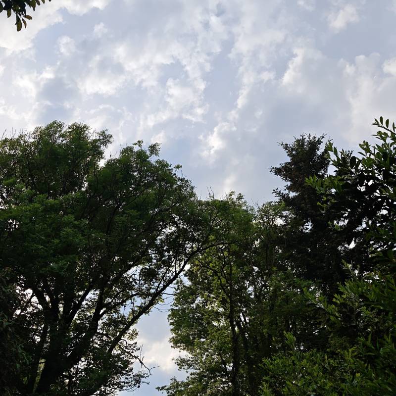 Fotosegnalazione di Invorio