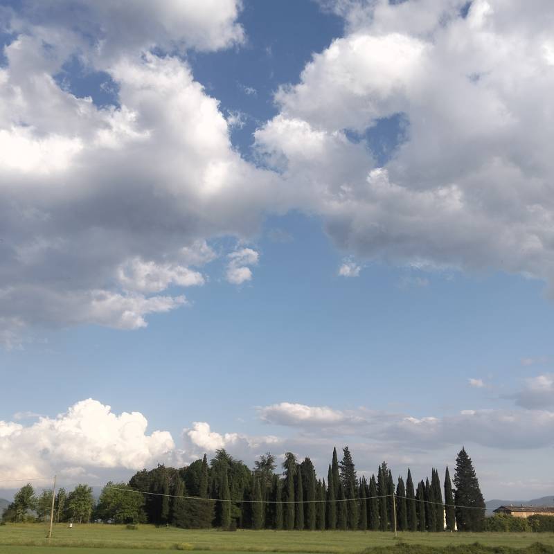 Fotosegnalazione di Borgo san lorenzo