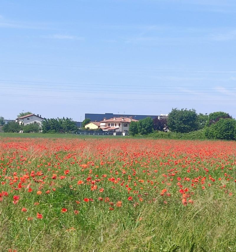 incanto di maggio . i miei attimi speciali adry