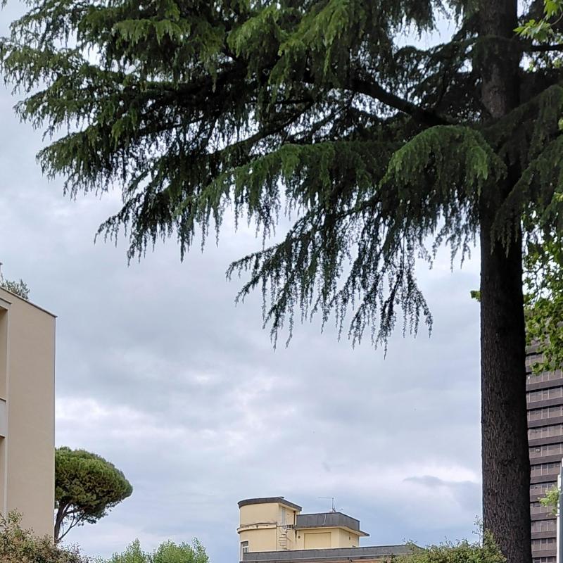 Fotosegnalazione di Frosinone bassa