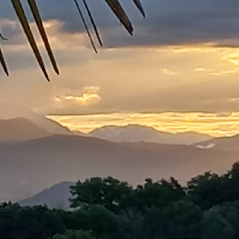 7 maggio 26