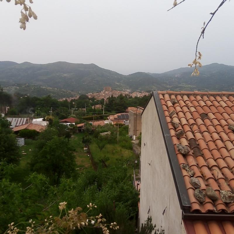 Fotosegnalazione di Castelbuono