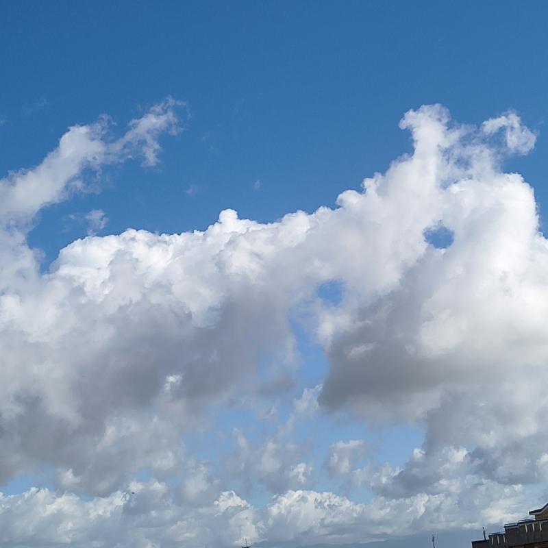 Fotosegnalazione di Scafati