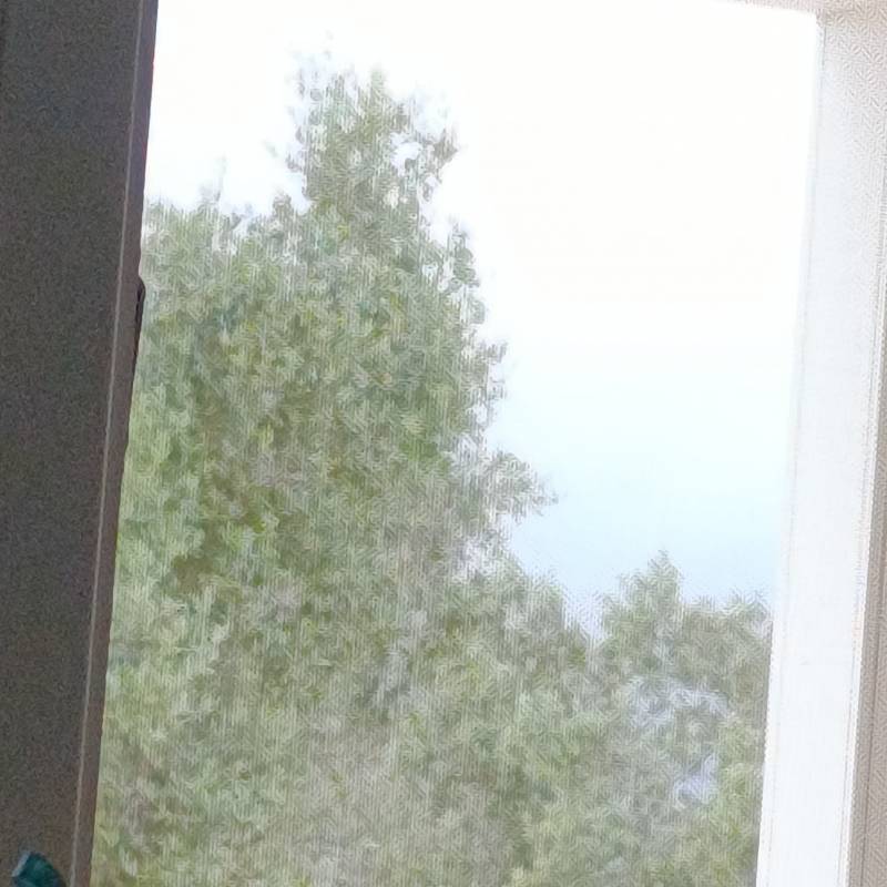 Fotosegnalazione di Carovigno