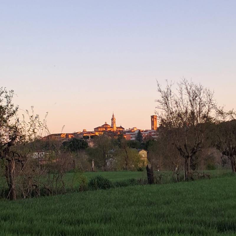 Jesi 14052026