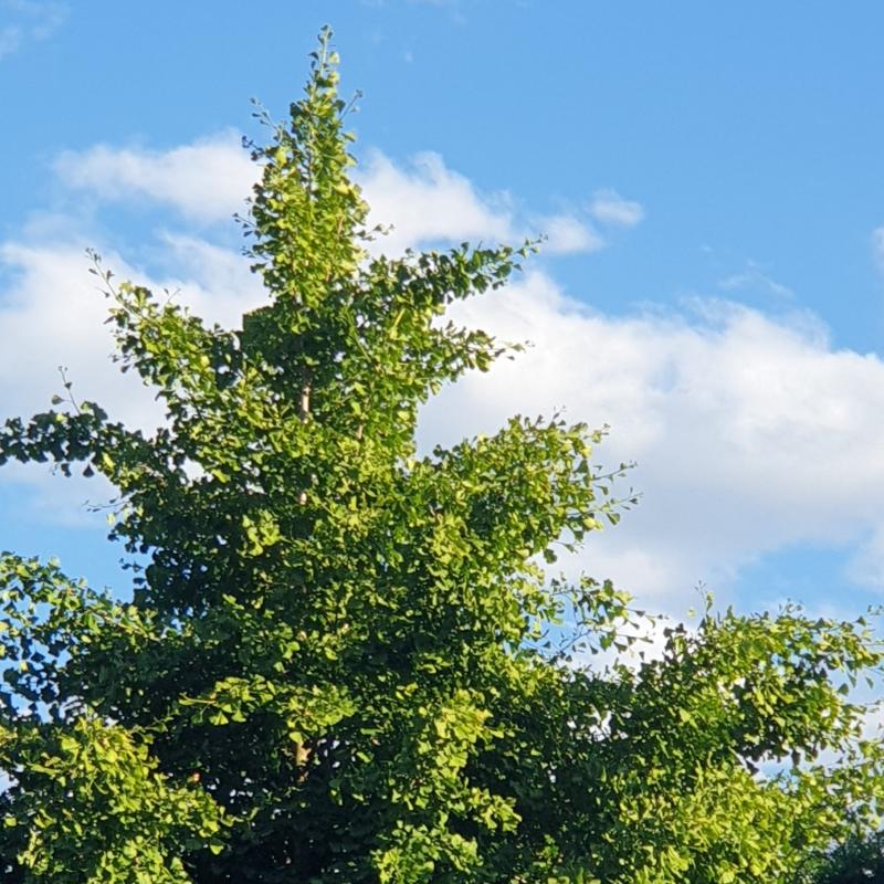 Fotosegnalazione di Gallarate