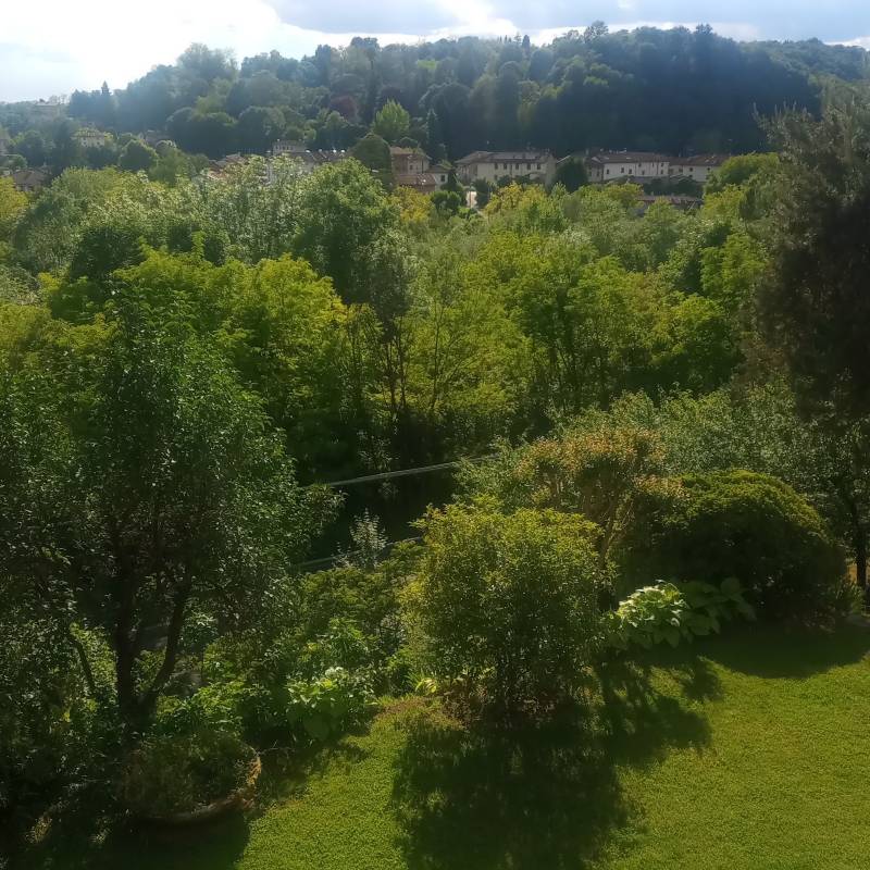 Fotosegnalazione di Tarcento