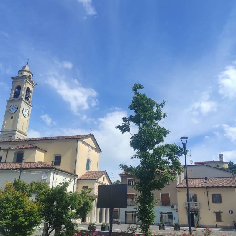 Fotosegnalazione di Miradolo terme