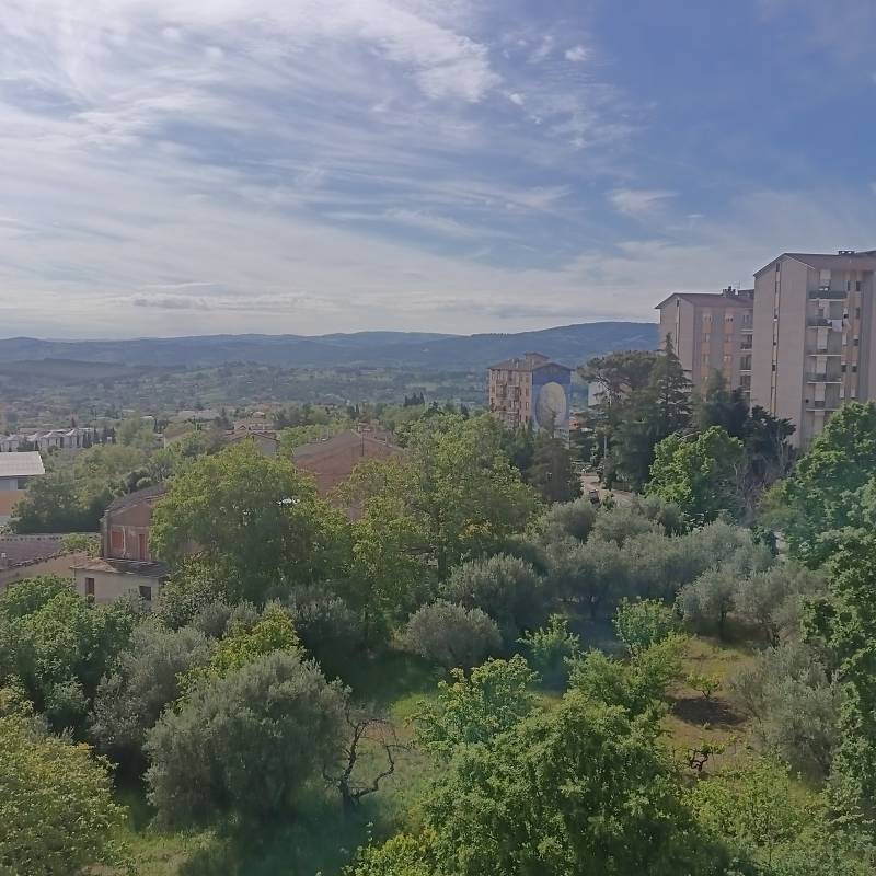 Fotosegnalazione di Campobasso est