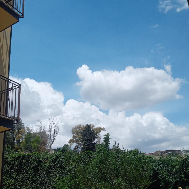 Fotosegnalazione di Mazzarino
