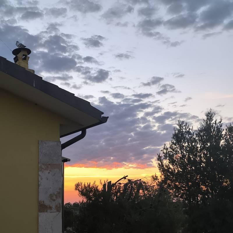 Fotosegnalazione di Foggia centro urbano