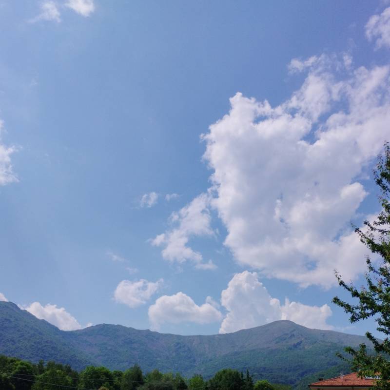 Bello con sole e molto caldo con afa molta