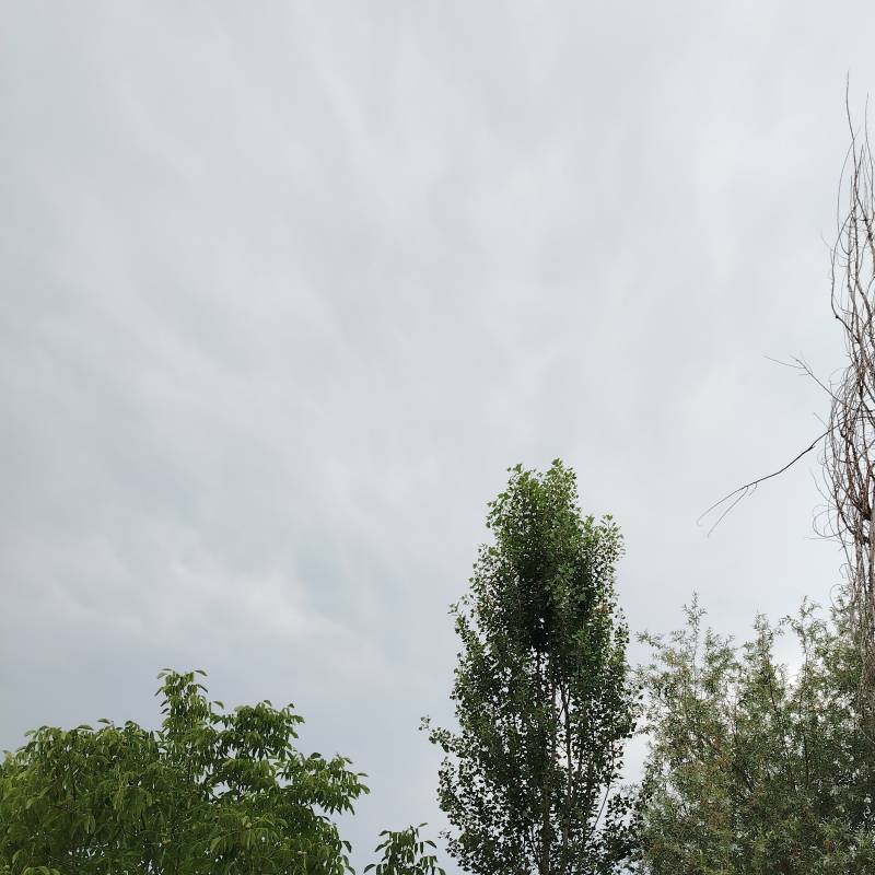 Legnago via custoza