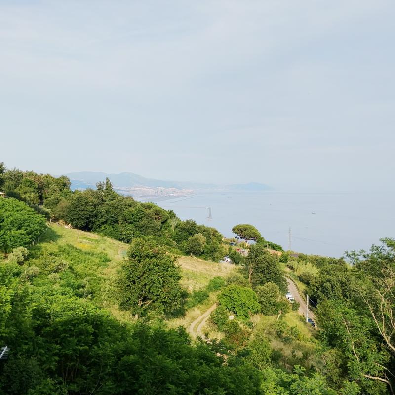 Fotosegnalazione di Genova ponente litorale