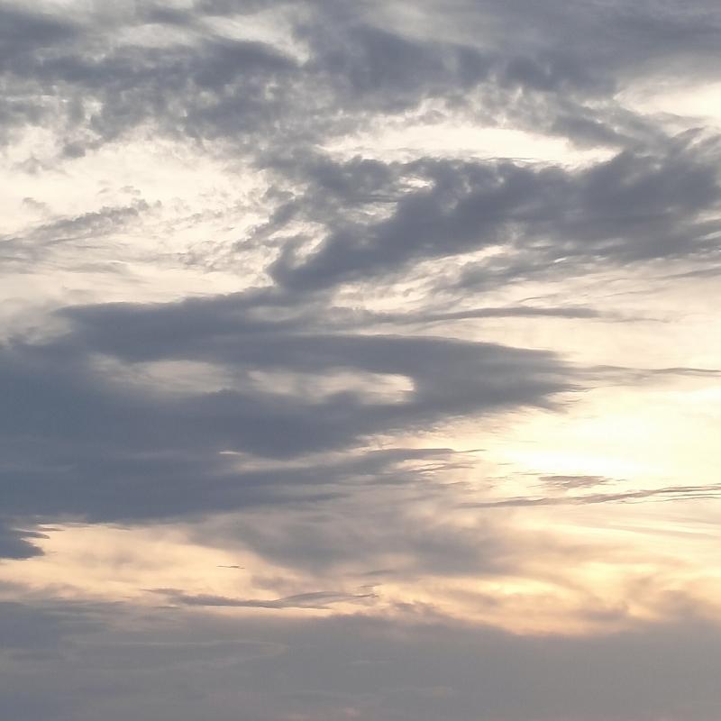 Scarabocchi nel cielo. foto di sergio