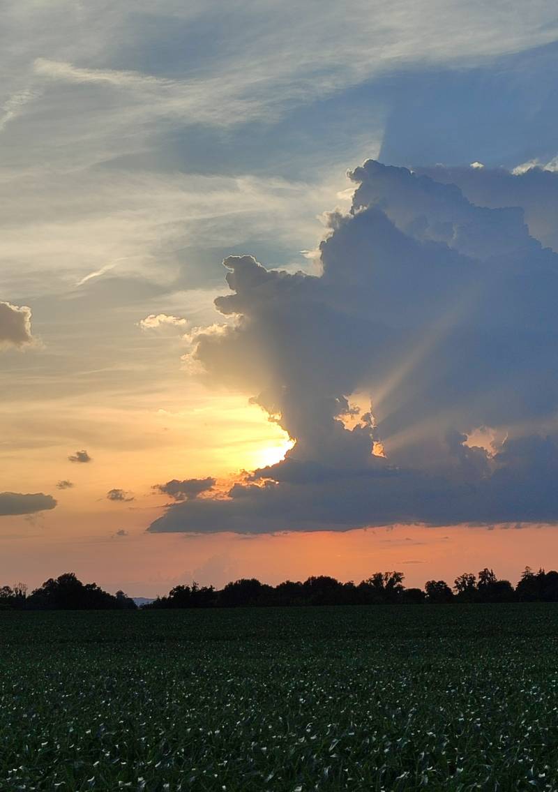 rosso di sera bel tempo si spera