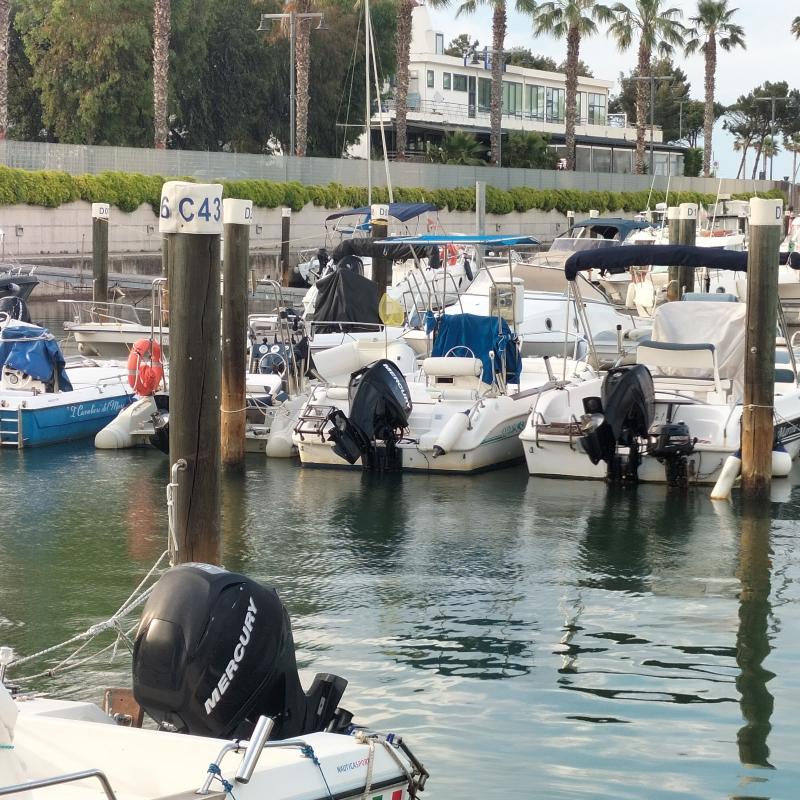 Fotosegnalazione di Marina di montenero