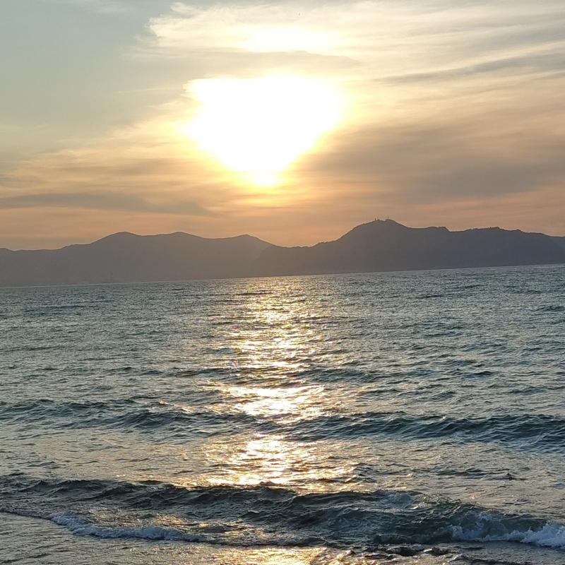 Fotosegnalazione di Bagheria