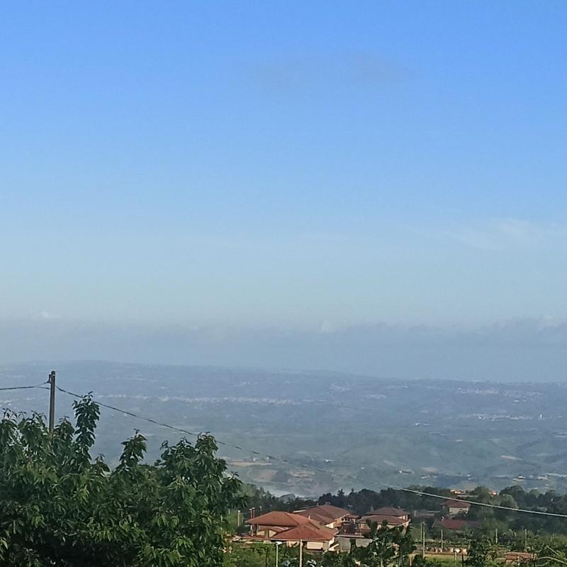 Fotosegnalazione di Arena