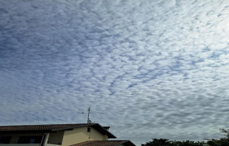 cielo a pecorelle