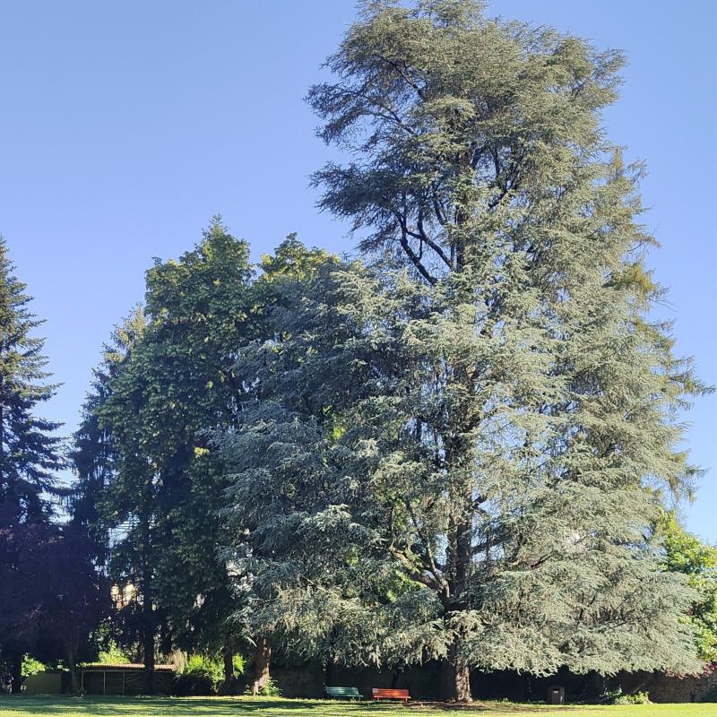 Fotosegnalazione di Borgosesia