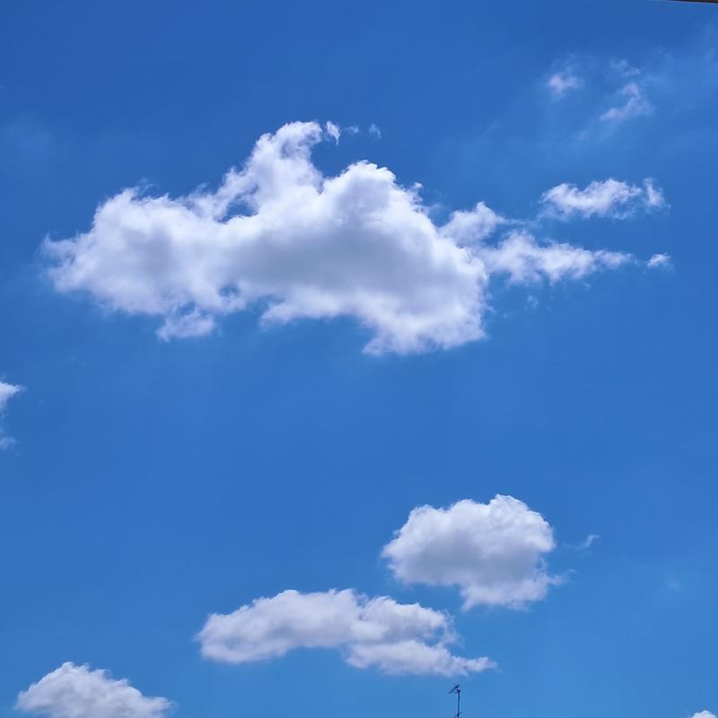 Fotosegnalazione di Caselle torinese