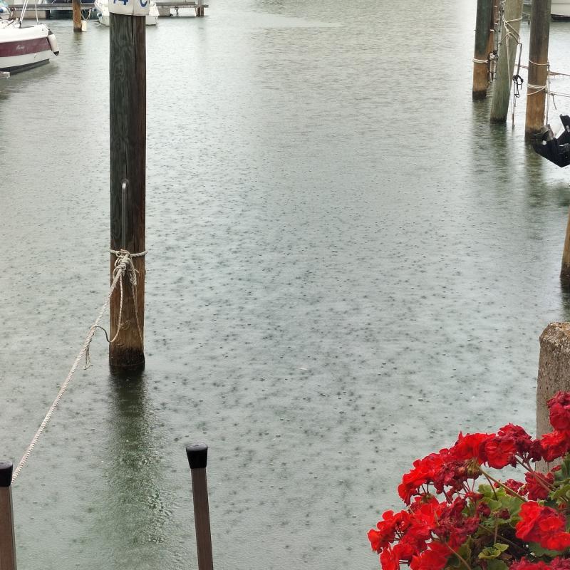 Fotosegnalazione di Marina di montenero