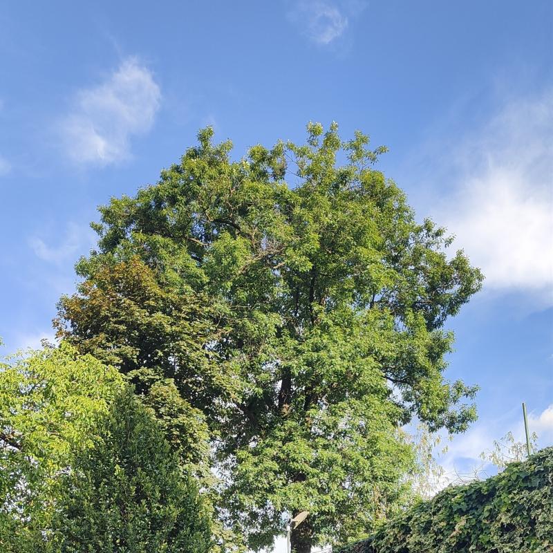 Fotosegnalazione di Borgosesia