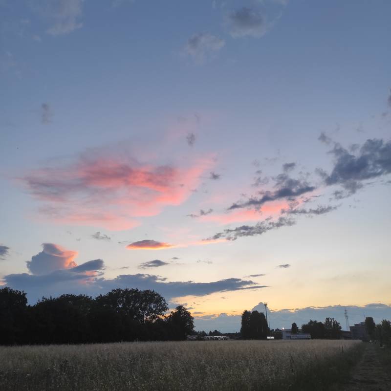 Fotosegnalazione di Albiate