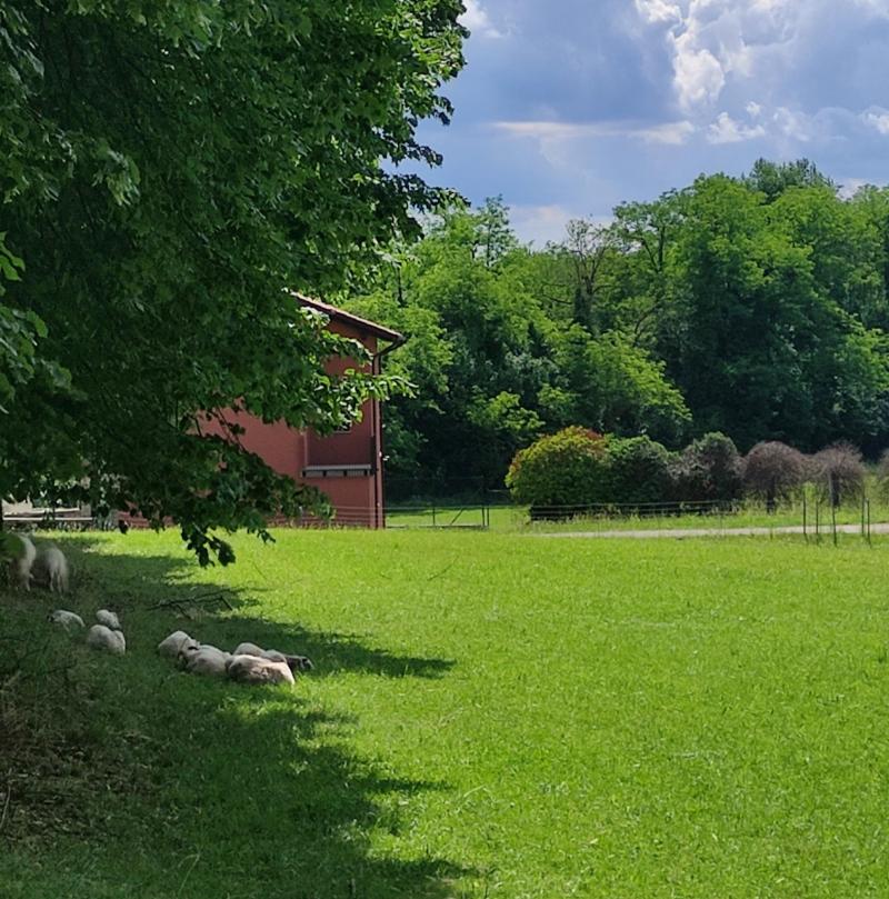 girovagando per il territorio. i miei attimi speciali adry