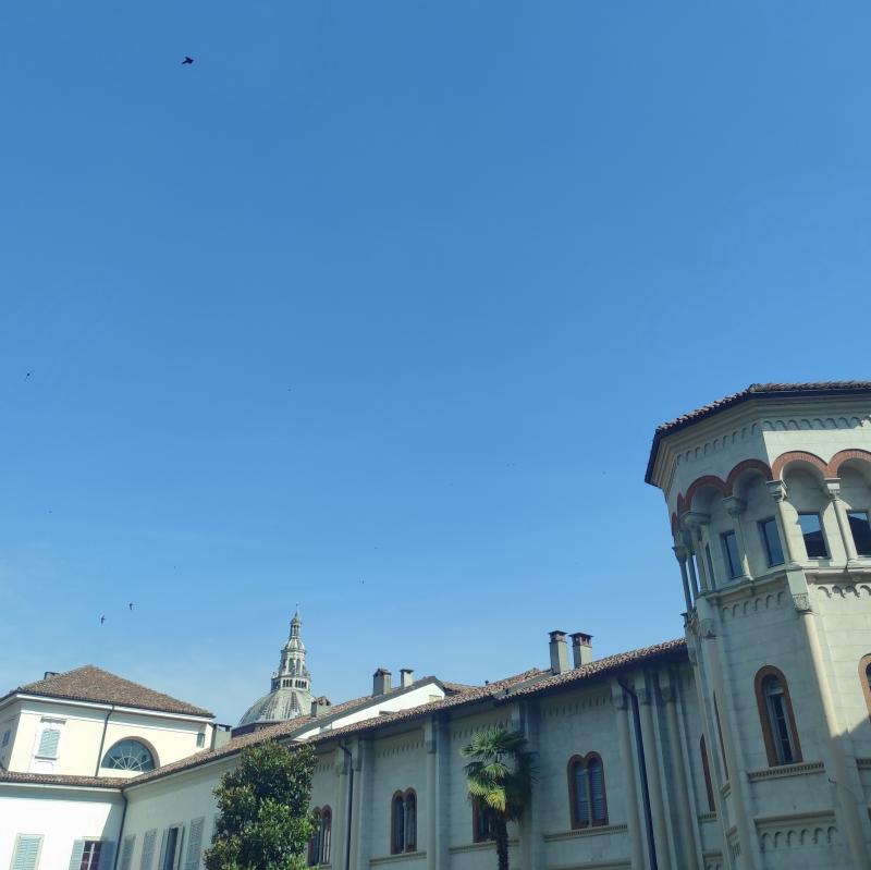 Fotosegnalazione di Pavia centro urbano