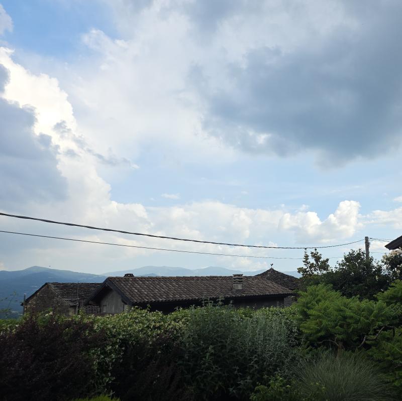 Fotosegnalazione di Bettola
