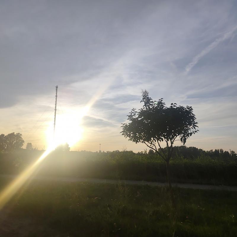 Fotosegnalazione di Ravenna darsena
