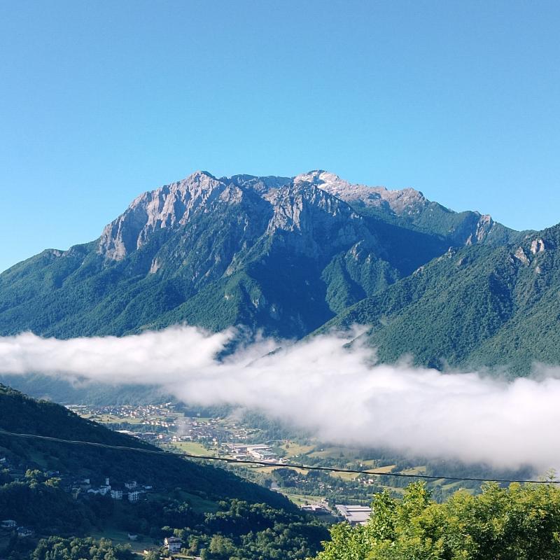 grigna