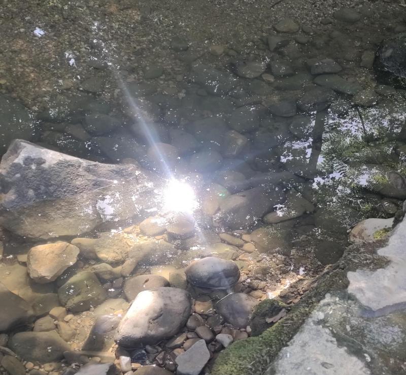 il sole che si rispecchia nell' acqua del cormor. i miei attimi speciali adry