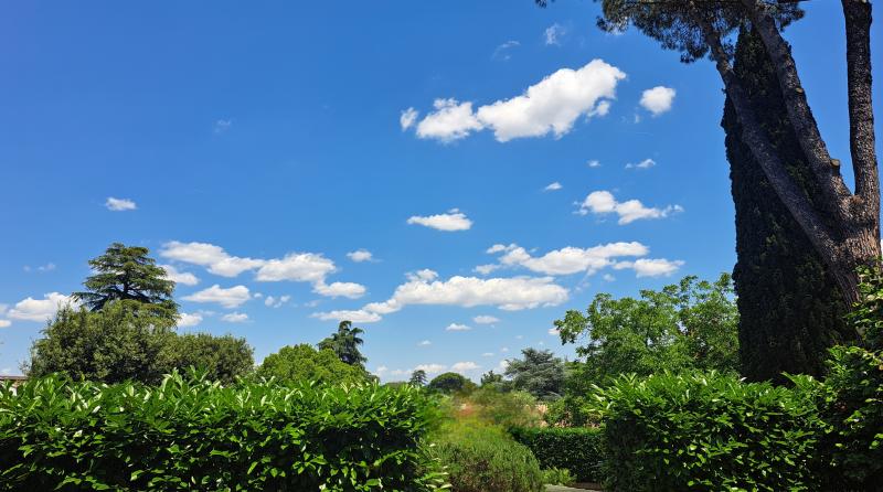 olgiata alla magritte